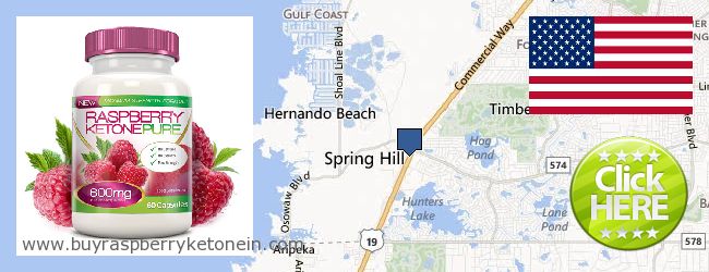 Where to Buy Raspberry Ketone online Spring Hill FL, United States
