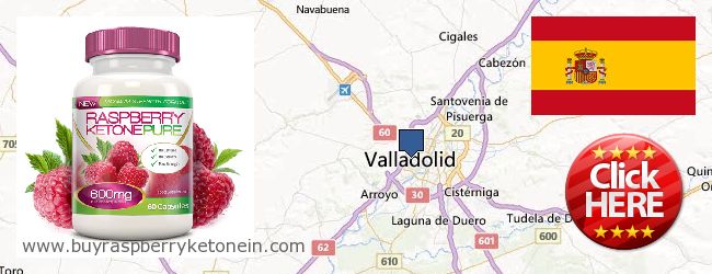 Where to Buy Raspberry Ketone online Valladolid, Spain