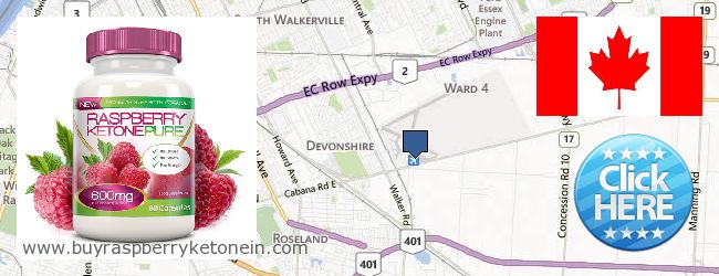 Where to Buy Raspberry Ketone online Windsor ONT, Canada