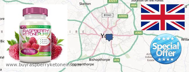 Buy Raspberry Ketone online York, United Kingdom Where to Buy Raspberry Ketone online York, United Kingdom