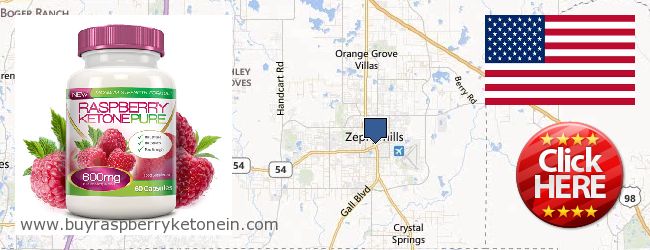 Where to Buy Raspberry Ketone online Zephyrhills FL, United States
