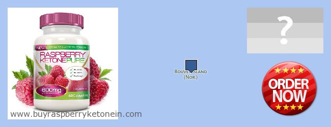 Onde Comprar Raspberry Ketone on-line Bouvet Island