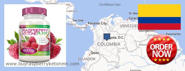Onde Comprar Raspberry Ketone on-line Colombia