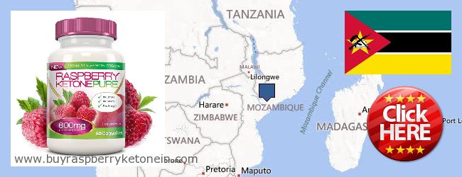 Onde Comprar Raspberry Ketone on-line Mozambique