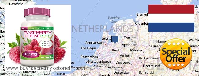 Onde Comprar Raspberry Ketone on-line Netherlands