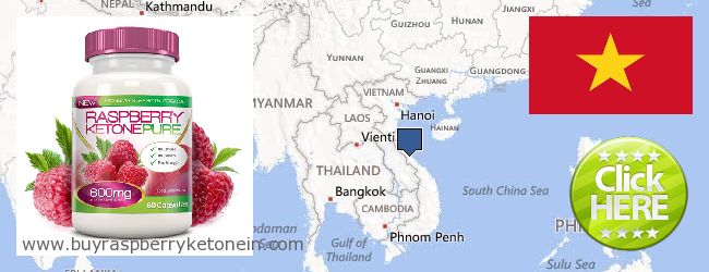 Onde Comprar Raspberry Ketone on-line Vietnam