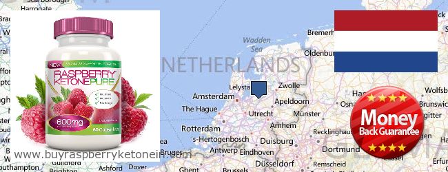 Unde să cumpărați Raspberry Ketone on-line Netherlands