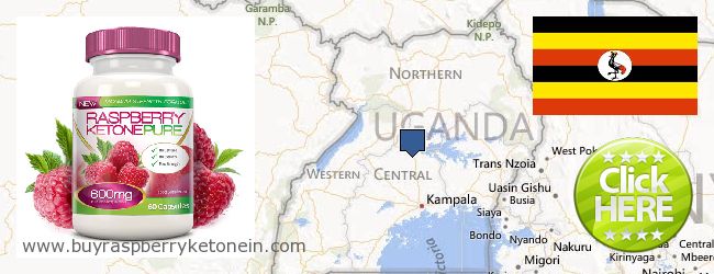 Unde să cumpărați Raspberry Ketone on-line Uganda