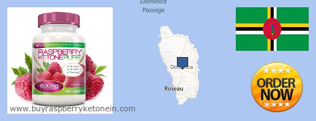 Wo kaufen Raspberry Ketone online Dominica