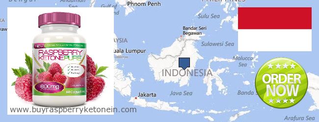 Wo kaufen Raspberry Ketone online Indonesia