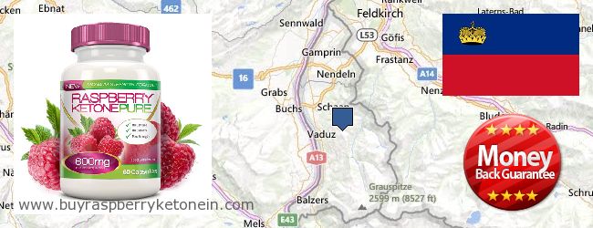Wo kaufen Raspberry Ketone online Liechtenstein