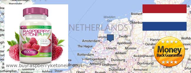 Wo kaufen Raspberry Ketone online Netherlands