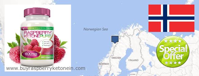Wo kaufen Raspberry Ketone online Norway