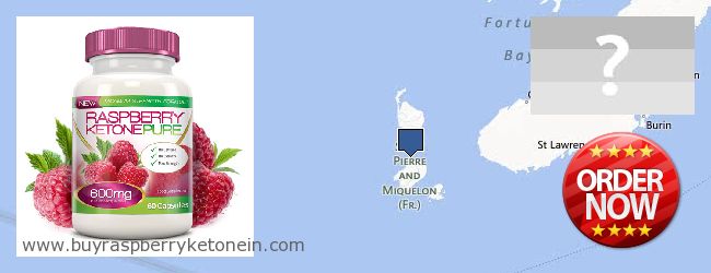 Wo kaufen Raspberry Ketone online Saint Pierre And Miquelon