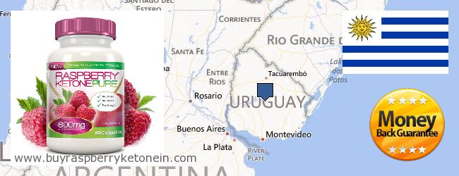 Wo kaufen Raspberry Ketone online Uruguay