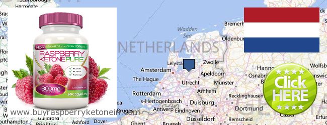 Hol lehet megvásárolni Raspberry Ketone online Netherlands