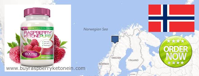 Hol lehet megvásárolni Raspberry Ketone online Norway
