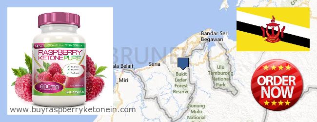 Hvor kjøpe Raspberry Ketone online Brunei