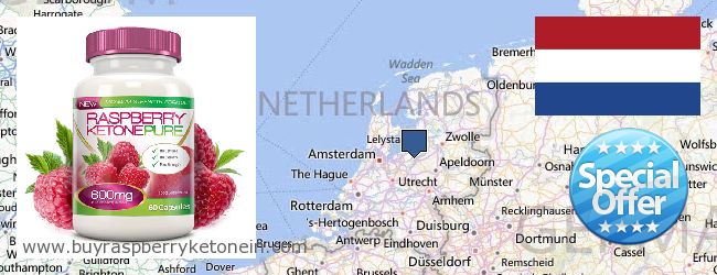 Hvor kjøpe Raspberry Ketone online Netherlands