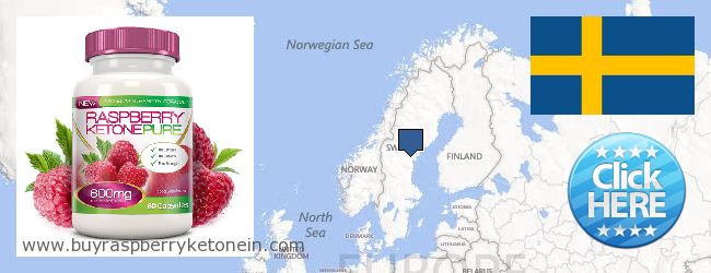 Hvor kjøpe Raspberry Ketone online Sweden