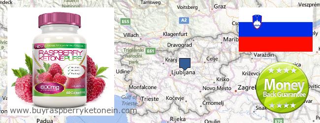 Waar te koop Raspberry Ketone online Slovenia