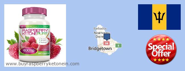 Kde koupit Raspberry Ketone on-line Barbados