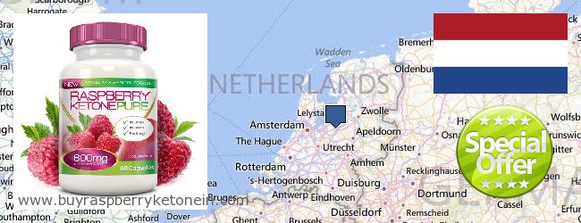 Kde koupit Raspberry Ketone on-line Netherlands