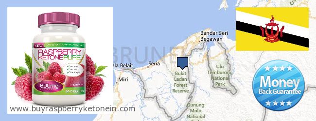 Var kan man köpa Raspberry Ketone nätet Brunei