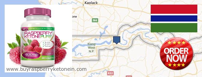 Var kan man köpa Raspberry Ketone nätet Gambia