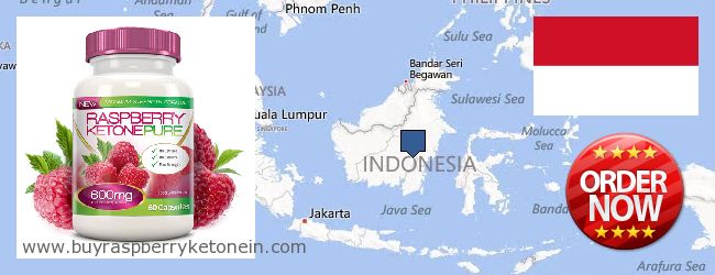 Var kan man köpa Raspberry Ketone nätet Indonesia