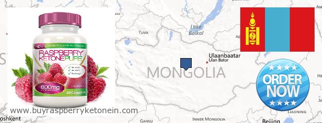 Var kan man köpa Raspberry Ketone nätet Mongolia
