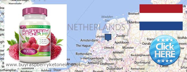 Var kan man köpa Raspberry Ketone nätet Netherlands