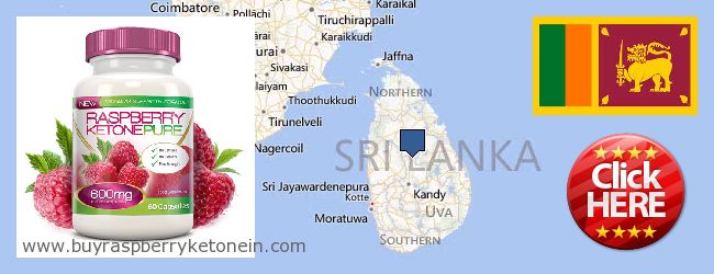 Var kan man köpa Raspberry Ketone nätet Sri Lanka