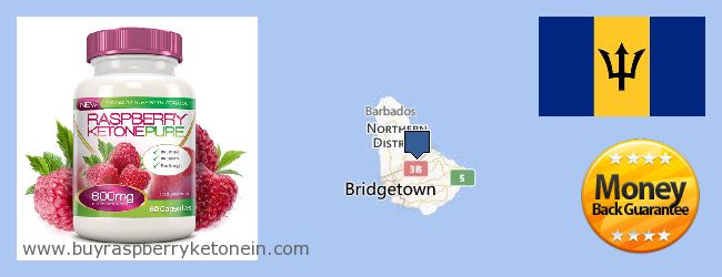 Kde kúpiť Raspberry Ketone on-line Barbados