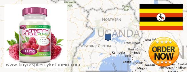 Kde kúpiť Raspberry Ketone on-line Uganda
