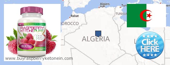 Jälleenmyyjät Raspberry Ketone verkossa Algeria