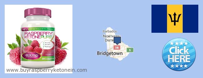 Jälleenmyyjät Raspberry Ketone verkossa Barbados