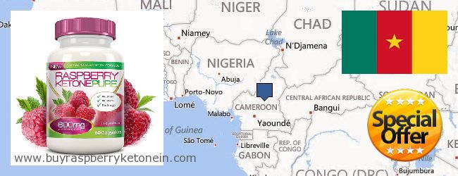 Jälleenmyyjät Raspberry Ketone verkossa Cameroon