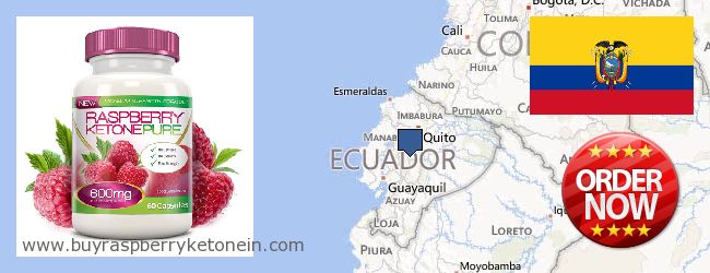 Jälleenmyyjät Raspberry Ketone verkossa Ecuador