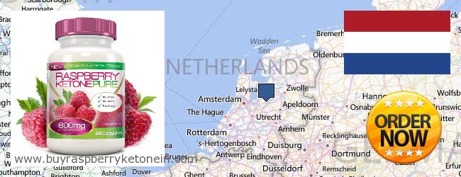 Jälleenmyyjät Raspberry Ketone verkossa Netherlands