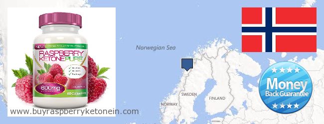 Jälleenmyyjät Raspberry Ketone verkossa Norway