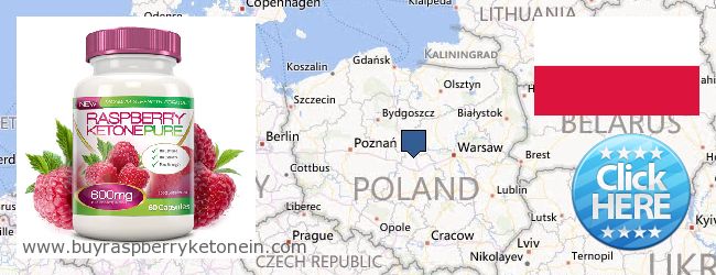 Jälleenmyyjät Raspberry Ketone verkossa Poland