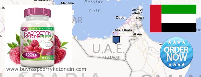 Jälleenmyyjät Raspberry Ketone verkossa United Arab Emirates