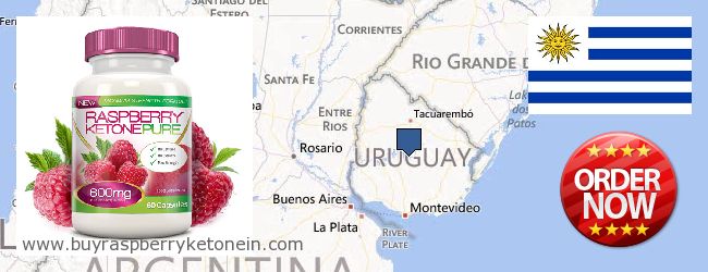 Jälleenmyyjät Raspberry Ketone verkossa Uruguay