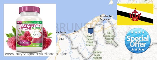 Nereden Alınır Raspberry Ketone çevrimiçi Brunei
