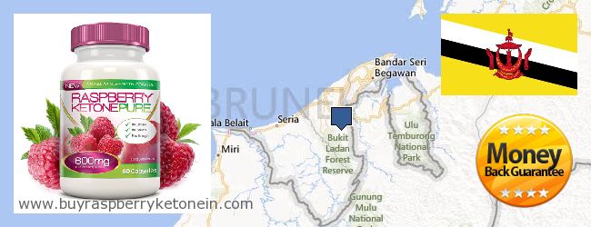 Къде да закупим Raspberry Ketone онлайн Brunei