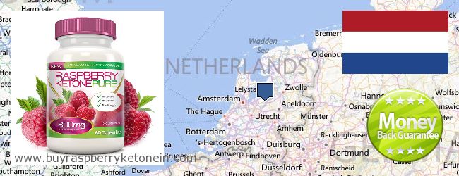 Къде да закупим Raspberry Ketone онлайн Netherlands