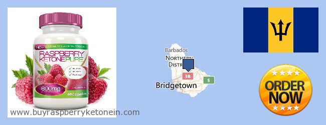 Где купить Raspberry Ketone онлайн Barbados