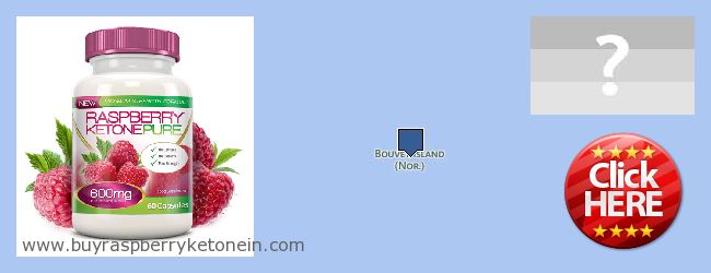 Купить Raspberry Ketone онлайн Bouvet Island Где купить Raspberry Ketone онлайн Bouvet Island