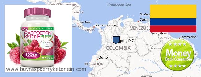 Где купить Raspberry Ketone онлайн Colombia